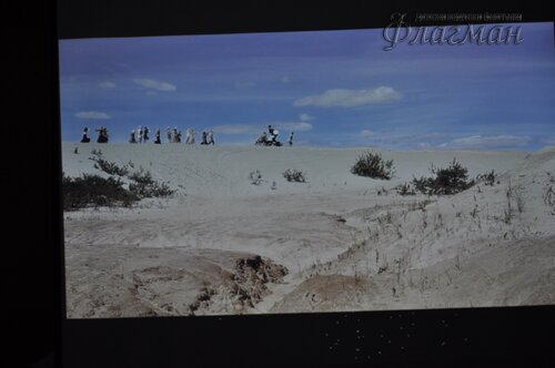 DSC_0087_новый размер